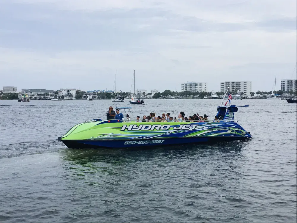 Dolphin Cruise