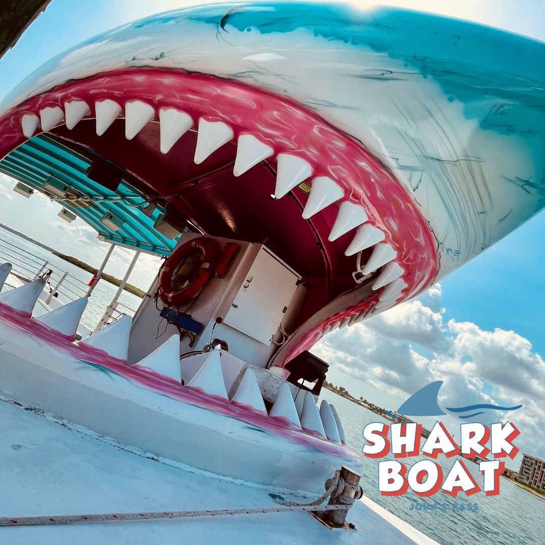 Shark Boat Dolphin Tour in Destin